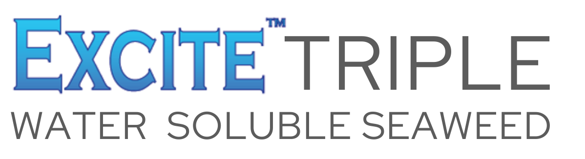 Excite Triple (Dry)-image