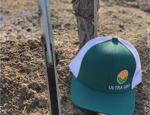 Setting Up Next Season for Success