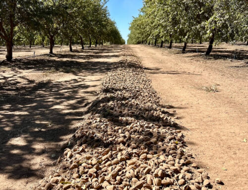Soil Health in Post-Harvest